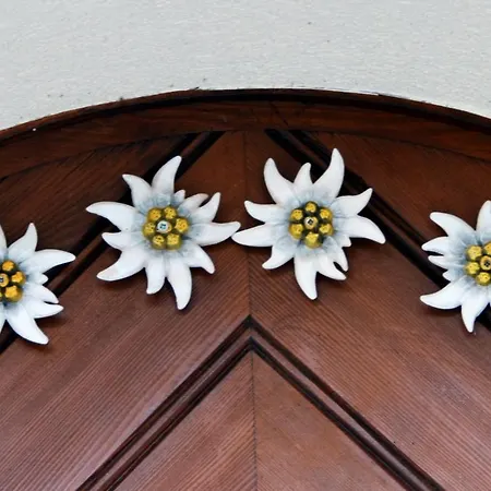 Apartmán Panoramablick Schruns